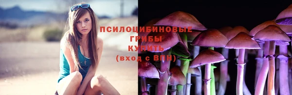 бошки Новодвинск