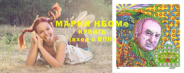 стаф Новокубанск