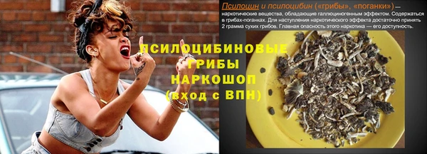 таблы Заводоуковск