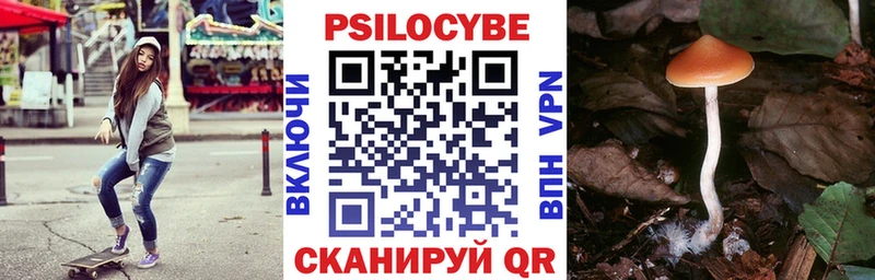 Купить  Гусев  Галлюциногенные грибы Cubensis 